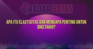 Apa Itu Elastisitas dan Mengapa Penting Untuk Diketahui?