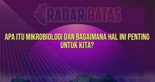 Apa Itu Mikrobiologi dan Bagaimana Hal Ini Penting untuk Kita?